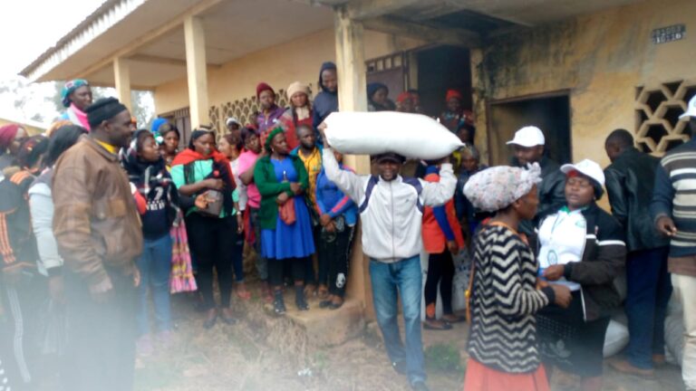 Donation of Farm Inputs to Mmuock Farmers by Rurual Farmers Support Network (10)